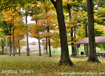 Fall color in Bedford, Indiana