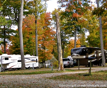 Fall color at the campground