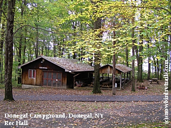 Donegal Campground, Donegal, PA