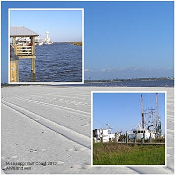 RVing on the beautiful Gulf Coast