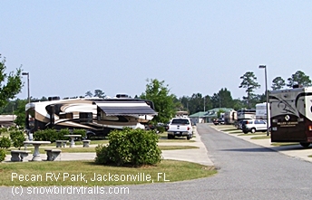Passport half-price Pecan Park RV Resort just off I-95 in Jacksonville, FL