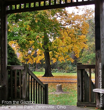 Fall color in Putnam Hill Park, Zanesville