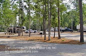 A visit to Carrollwoods RV Park and Grapefull Sisters Vineyard, Tabor City, NC
