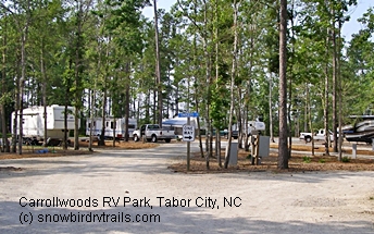 Country peace & quiet at Carrollwoods RV Park and Grapefull Sisters Vineyard, Tabor City, NC