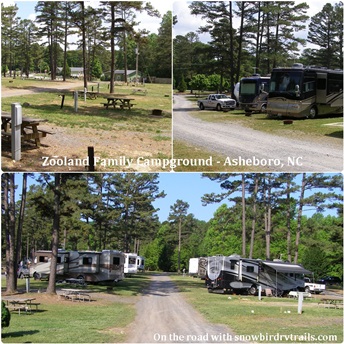 Zooland Family Campground in sheboro, NC